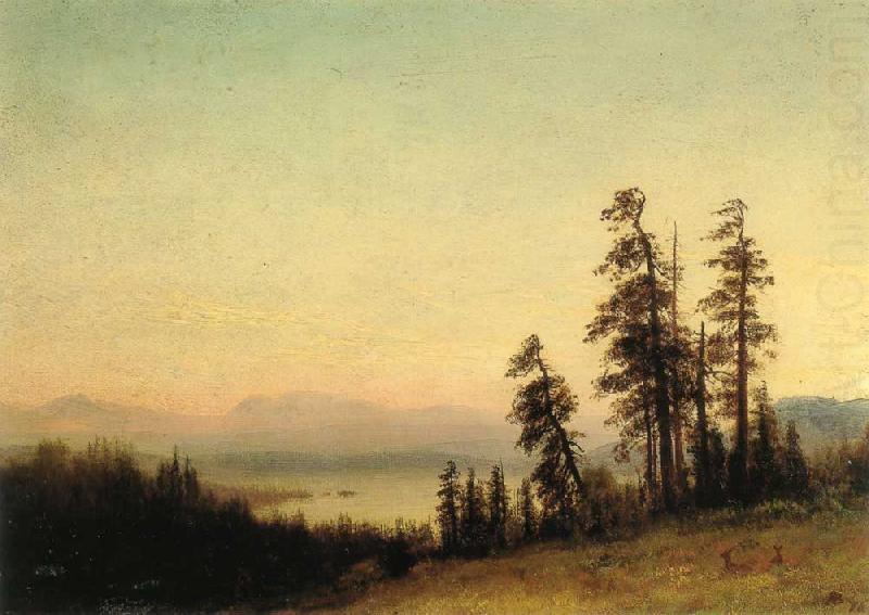 Albert Bierstadt Landscape with Deer china oil painting image